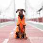 Дождевик для собак Noble Pet Rio Orange, оранжевый