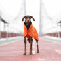 Дождевик для собак Noble Pet Rio Orange, оранжевый