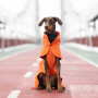 Дождевик для собак Noble Pet Rio Orange, оранжевый