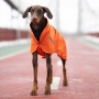 Дождевик для собак Noble Pet Rio Orange, оранжевый