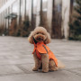Дождевик для собак Noble Pet Rio Orange, оранжевый