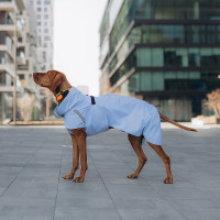 Дождевик для собак Noble Pet Rio Blue, голубой