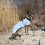 Дождевик для собак Noble Pet Rio Blue, голубой