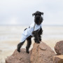 Дождевик для собак Noble Pet Rio Blue, голубой