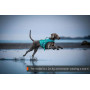 Рятувальний жилет для собак Protector life jacket Non-stop dogwear, бірюзовий