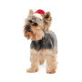 Новорічний ковпак для собак PetFashion