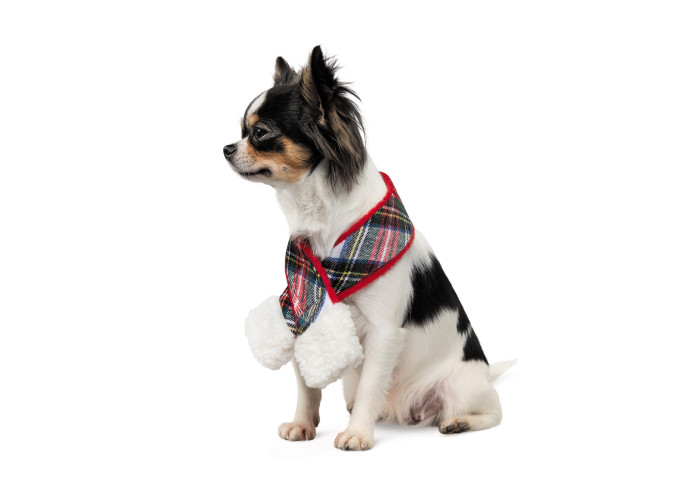 Новогодний шарф для собак PetFashion Happy