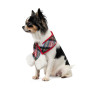 Новогодний шарф для собак PetFashion Happy
