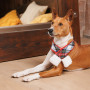 Новогодний шарф для собак PetFashion Happy