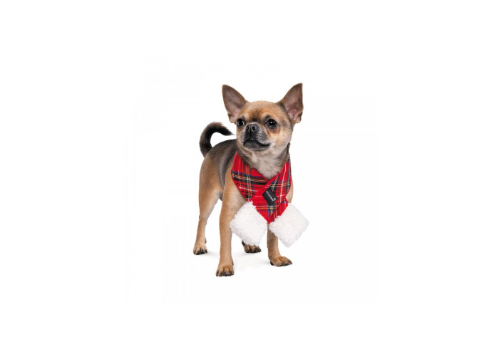 Новогодний шарф для собак PetFashion Happy