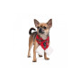Новогодний шарф для собак PetFashion Happy