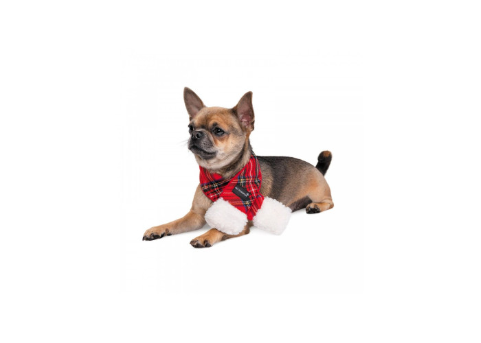 Новогодний шарф для собак PetFashion Happy