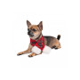 Новогодний шарф для собак PetFashion Happy