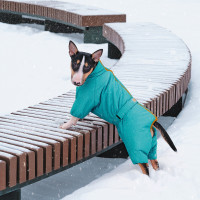 Комбінезон для собак PetFashion Cold, бірюзовий