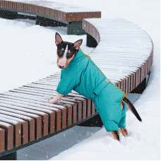 Комбинезон для собак PetFashion Cold, бирюзовый