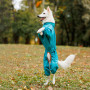 Комбинезон для собак PetFashion Cold, бирюзовый