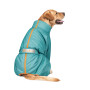 Комбинезон PetFashion Cold для такс, бирюзовый