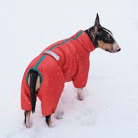 Комбинезон для собак PetFashion Cold, красный