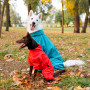 Комбинезон для собак PetFashion Cold, красный