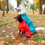 Комбинезон PetFashion Cold для такс, бирюзовый