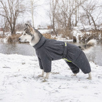 Комбінезон для собак PetFashion Cold, сірий