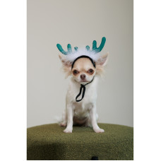 Новорічний аксесуар для собак PetFashion Deer