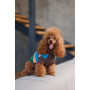 Светр для собак PetFashion Happy