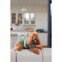 Светр для собак PetFashion Happy