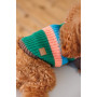 Светр для собак PetFashion Happy