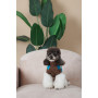Светр для собак PetFashion Happy