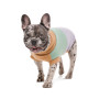 Свитер PetFashion Rich для собак нестандартных размеров (такс, корги, мопсов, французских бульдогов)