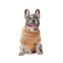 Свитер PetFashion Rich для собак нестандартных размеров (такс, корги, мопсов, французских бульдогов)