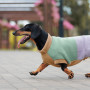 Свитер PetFashion Rich для собак нестандартных размеров (такс, корги, мопсов, французских бульдогов)