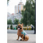 Свитер PetFashion Rich для собак нестандартных размеров (такс, корги, мопсов, французских бульдогов)