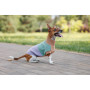 Свитер PetFashion Rich для собак нестандартных размеров (такс, корги, мопсов, французских бульдогов)