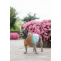 Свитер PetFashion Rich для собак нестандартных размеров (такс, корги, мопсов, французских бульдогов)