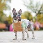 Свитер PetFashion Rich для собак нестандартных размеров (такс, корги, мопсов, французских бульдогов)