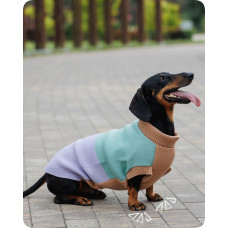 Свитер PetFashion Rich для собак нестандартных размеров (такс, корги, мопсов, французских бульдогов)