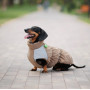 Жилет на хутрі PetFashion Chip для такс та французьких бульдогів