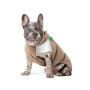 Жилет на хутрі PetFashion Chip для такс та французьких бульдогів