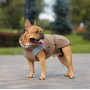 Жилет на хутрі PetFashion Chip для такс та французьких бульдогів