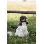 Вышиванка из льна для собак PetFashion Ostap