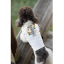 Вышиванка из льна для собак PetFashion Ostap