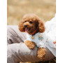 Вышиванка из льна для собак девочек PetFashion Maryana