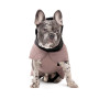 Жилет-попона PetFashion Max для такс и французских бульдогов