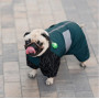Комбинезон PetFashion Den для такс и корги