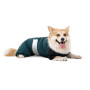 Комбинезон PetFashion Den для такс и корги