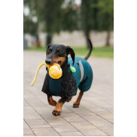 Комбінезон PetFashion Den для такс та коргі