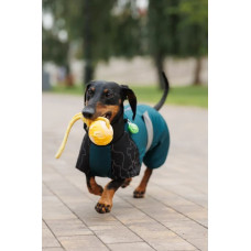 Комбинезон PetFashion Den для такс и корги