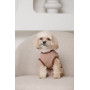 Свитер трикотажный PetFashion Funny для собак